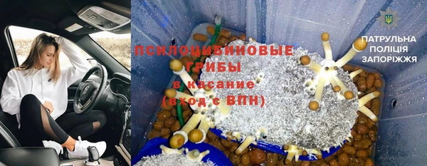 мдпв Абаза