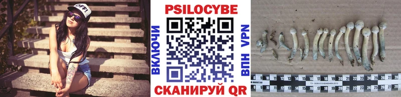 Псилоцибиновые грибы GOLDEN TEACHER  закладка  Смоленск 